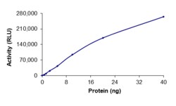Sino Biological&nbsp;Recombinant Human RET Protein (V778I, GST Tag), Active
